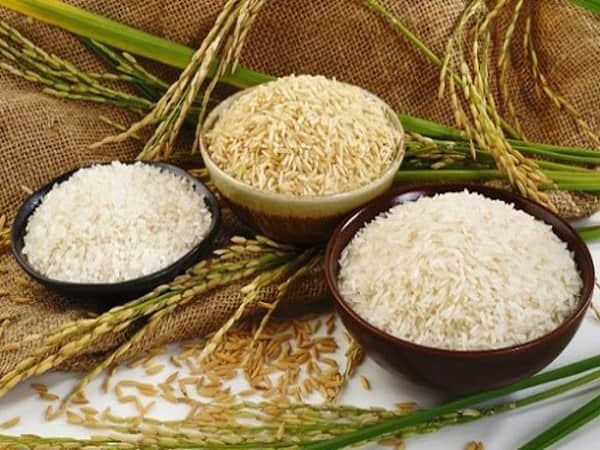 Giấc mơ thấy lúa gạo có ý nghĩa gì