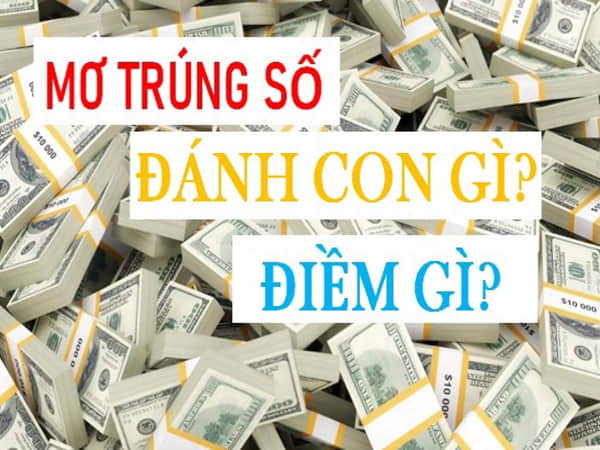 Lý do nằm mơ thấy trúng đề
