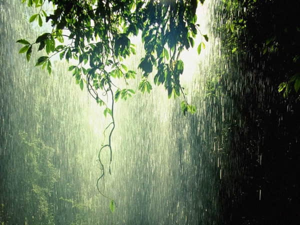 Ý nghĩa mộng mị thấy mưa gió bão