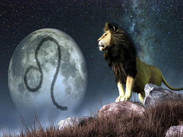 Tổng quan cung Sư Tử ( Leo )