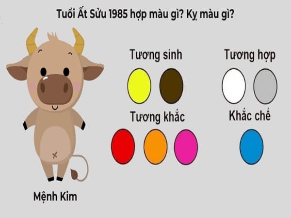 Sinh năm 1985 hợp màu gì để phát huy vận mệnh?