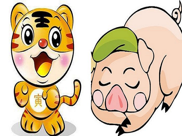 Bói tuổi dần và hợi có hợp nhau không ?