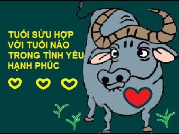Tuổi sửu hợp với tuổi nào trong hôn nhân? Tuổi sửu hợp với tuổi nào trong hôn nhân?