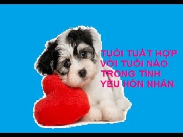 Nữ tuổi tuất hợp với tuổi gì?