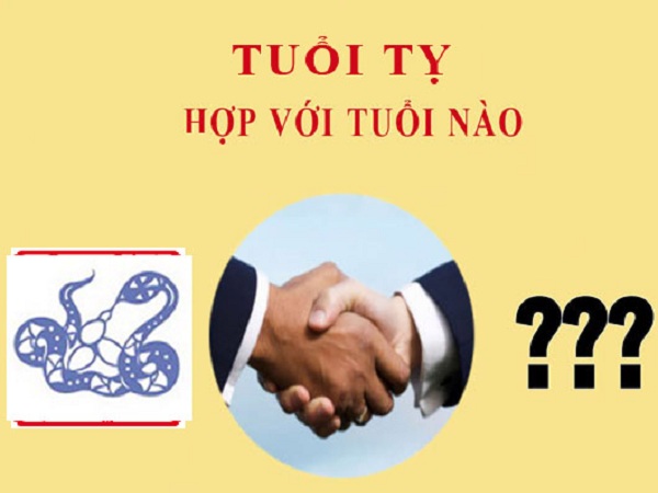 tuổi tỵ hợp với tuổi nào trong hôn nhân