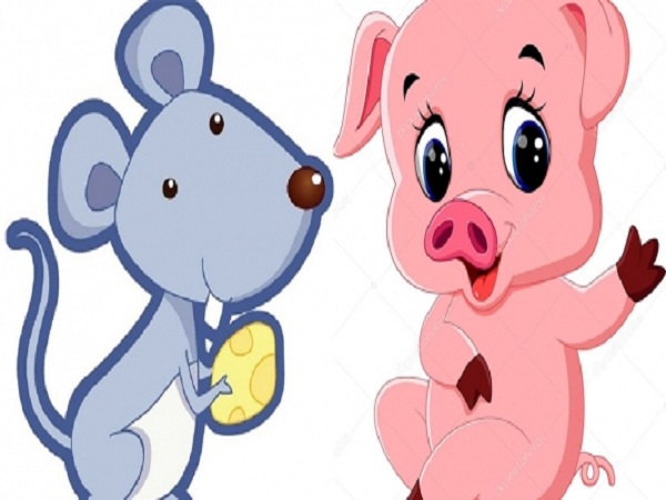 Tuổi hợi và tý có hợp nhau không về tính cách, tình yêu, sự nghiệp