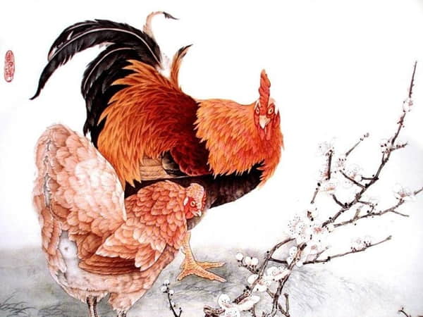Tuổi Tý và tuổi Dậu có hợp nhau trong tính cách