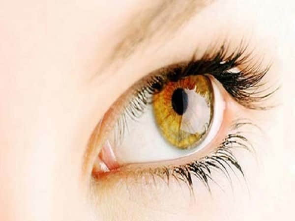 Nhận diện tướng mắt sói