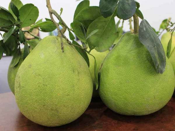 Ý nghĩa giấc mơ thấy quả bưởi