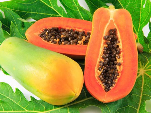 Nằm mơ thấy quả đu đủ nên đánh con gì? Điềm báo giấc mơ