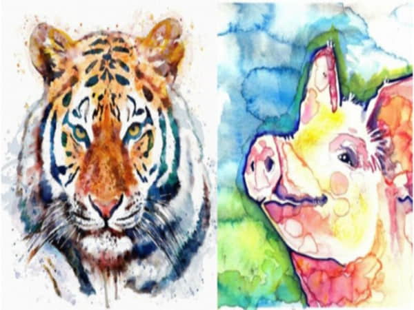 Tuổi Dần và tuổi Hợi có hợp nhau về mặt tính cách không