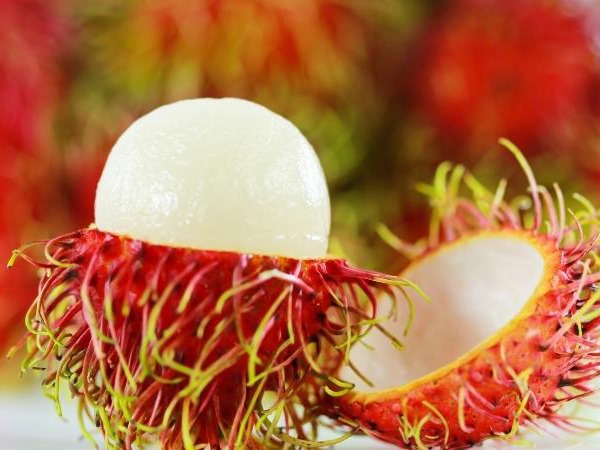 Mơ thấy quả chôm chôm đánh con gì đổi đời, là điềm gì? Mơ thấy quả chôm chôm đánh con gì đổi đời, là điềm gì?