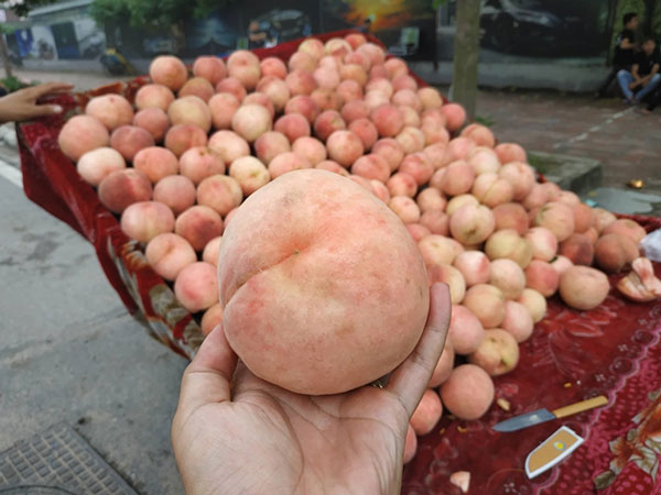 Mơ thấy quả đào đánh con gì? Cặp số nào may mắn nhất