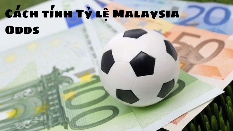 Cách tính tỷ lệ cược Malaysia Odds