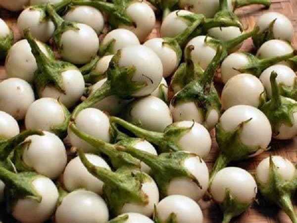 Điềm báo chung khi thấy quả cà theo dân gian