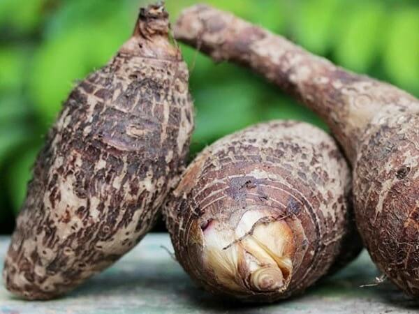 Nhìn thấy củ khoai môn mua vé số con gì may mắn