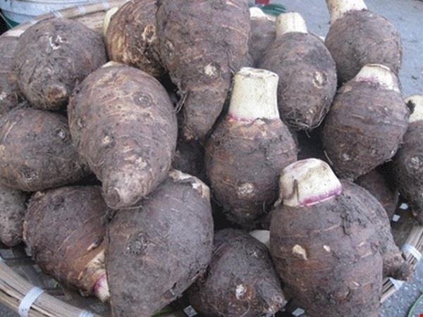 Ý nghĩa của việc nhìn thấy củ khoai môn