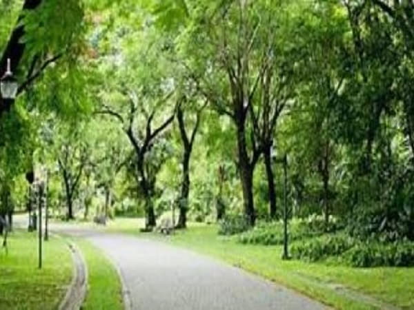 Con số may mắn liên quan khi nhìn thấy công viên