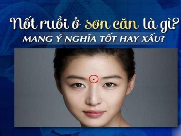 Sơn Căn Là Gì Trong Nhân Tướng Học?