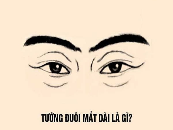 Đặc điểm của phụ nữ có đuôi mắt dài