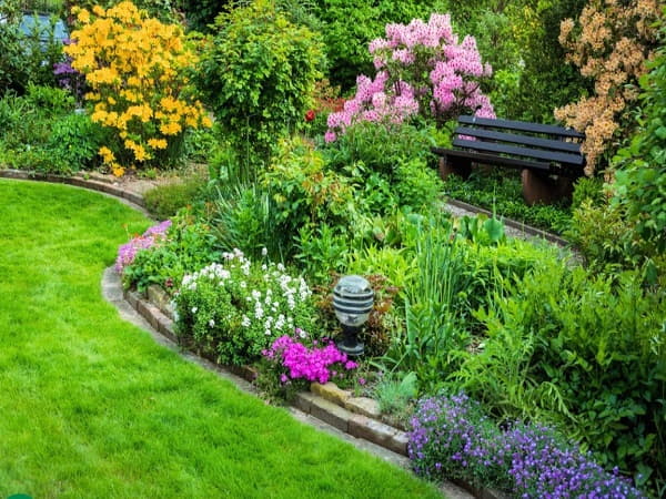 Con số may mắn liên quan khi nhìn thấy bụi cây