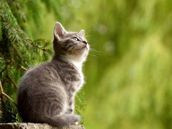 TOP con số đẹp tuổi Ất Mão 15/5/2025 nên chọn ngay