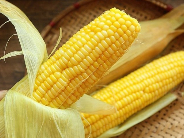 Mơ thấy bắp ngô thường có ý nghĩa gì đặc biệt