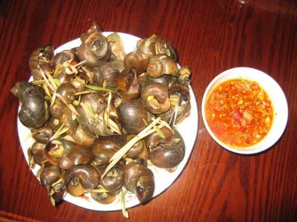 Cùng luận giải ý nghĩa phía sau giấc mơ thấy ăn ốc