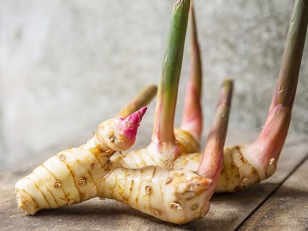 Ngủ mơ thấy củ riềng báo hiệu tương lai như nào?