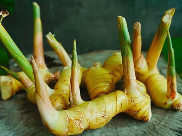 Ngủ mơ thấy củ riềng báo hiệu tương lai như nào?