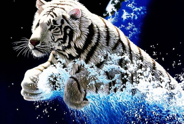 Tử vi tiết lộ con số may mắn tuổi Dần hôm nay thế nào?