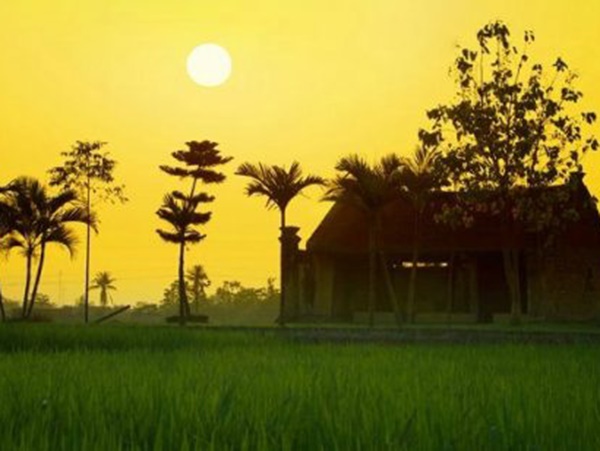 Nằm mơ thấy về quê ẩn chứa nhiều thông điệp