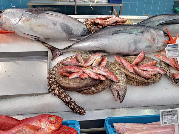 Nằm mơ thấy mua cá có điềm gì, dự báo tốt hay xấu?