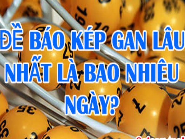 Kép bằng bao nhiêu ngày chưa ra?